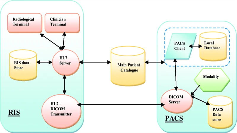 A flowchart diagram showing the RIS workflow from scheduling and ordering to billing and reporting.