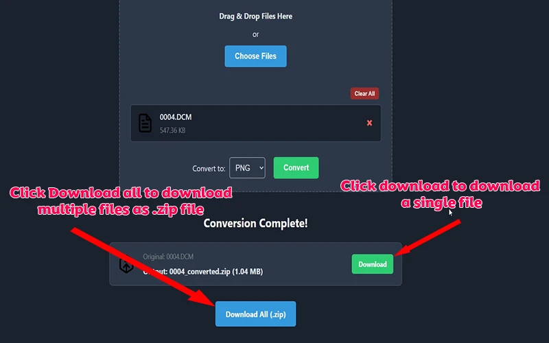 Step 3: Download converted files