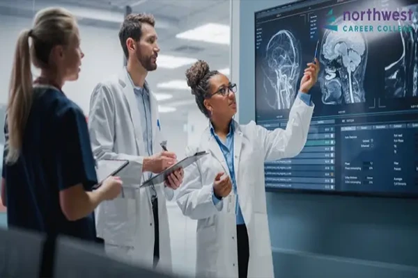 A branching path or ladder graphic