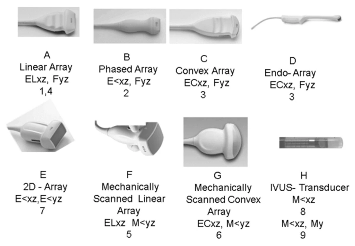 A photo showing different types of ultrasound probes: linear, curvilinear, and phased array